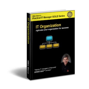 IT Organization-c